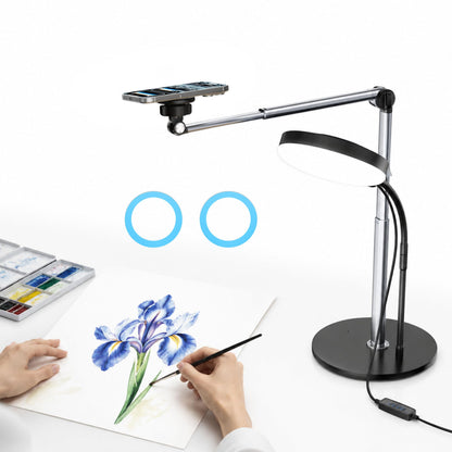 Mistriddle Overhead Phone Stand, 2-Section Telescopic Aluminum Arm